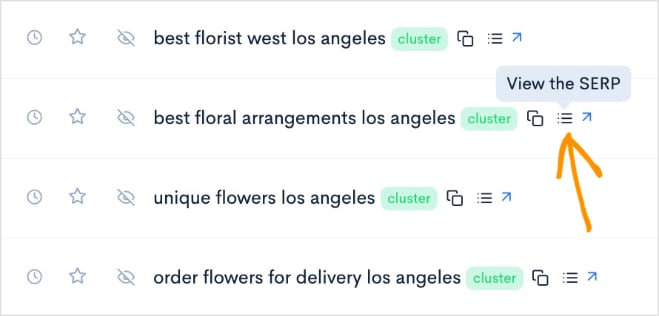 View the SERP button in LowFruits.