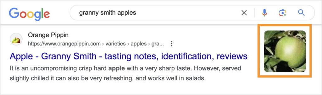 Google rich snippet of a granny smith apple shows an image.