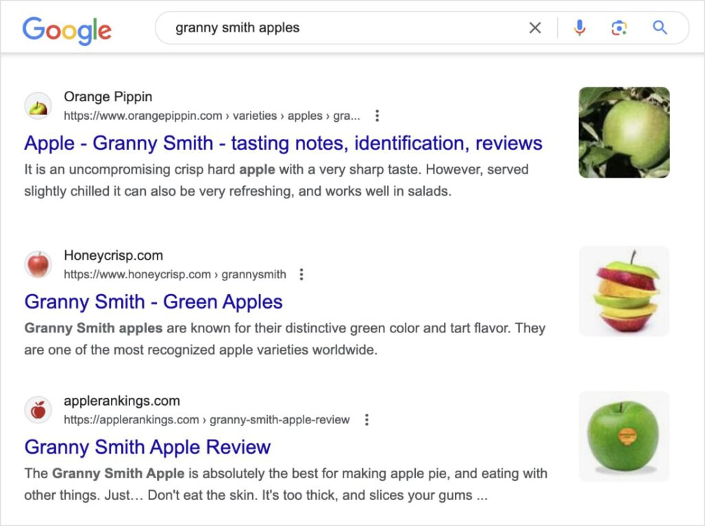 Rich snippets in Google show the power of image SEO.