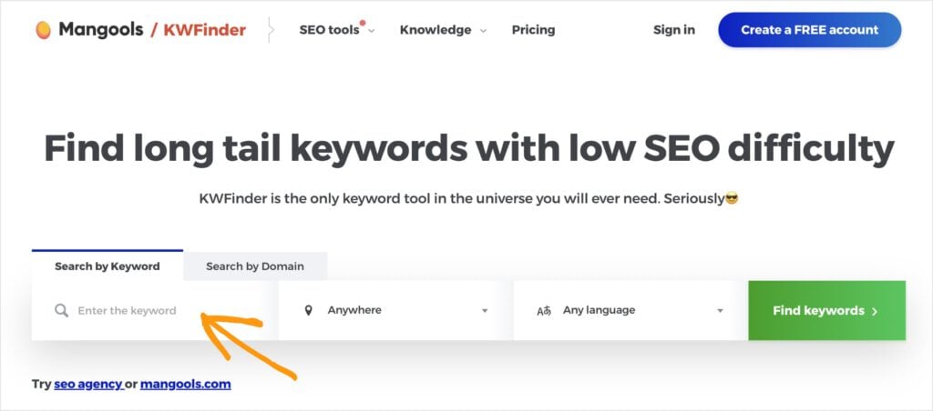 Mangools keyword search function.