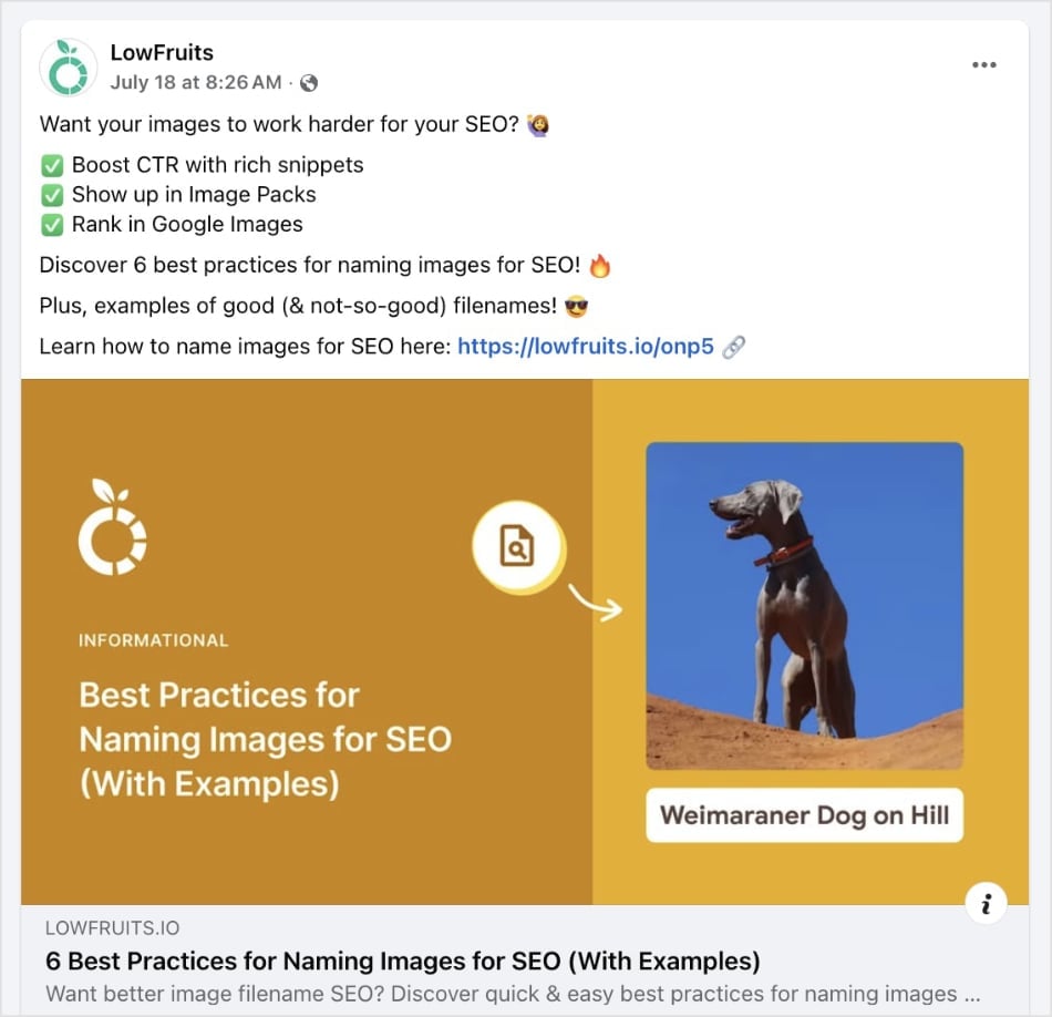 LowFruits Facebook post about image SEO.
