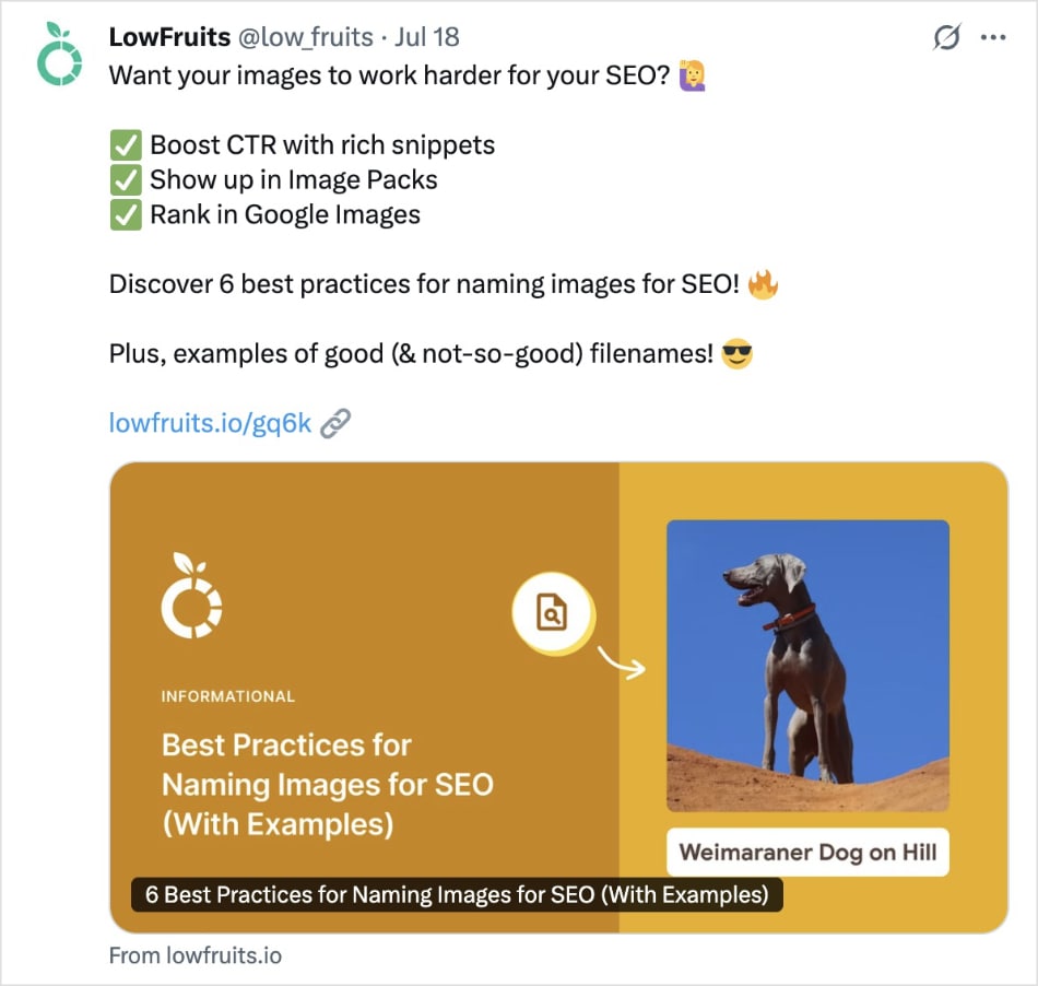 LowFruits Twitter post about image SEO.