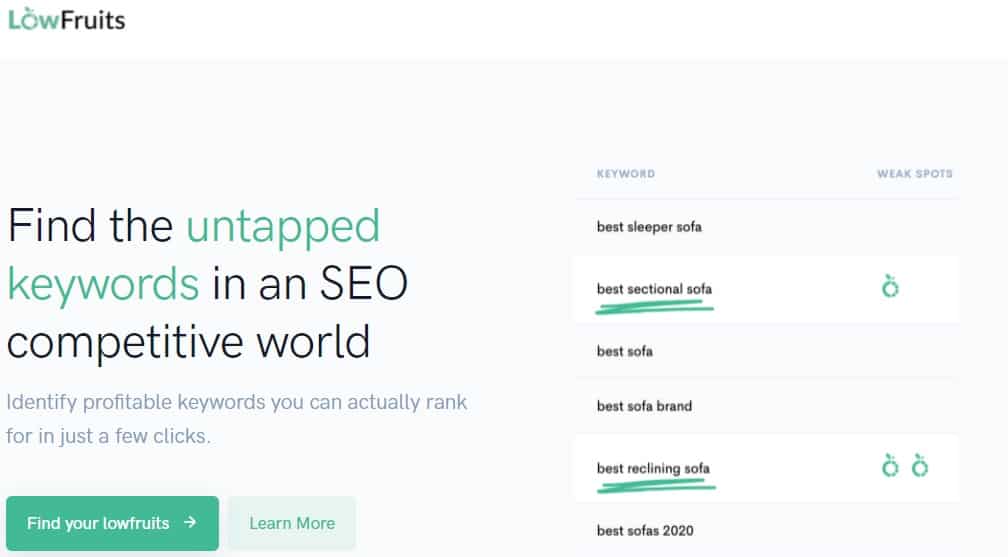 A screen shot of a seo page with the words'find the untapped keywords in seo competitive world'.