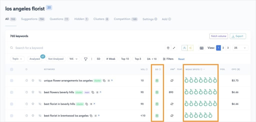 LowFruits keyword report with easy keywords.