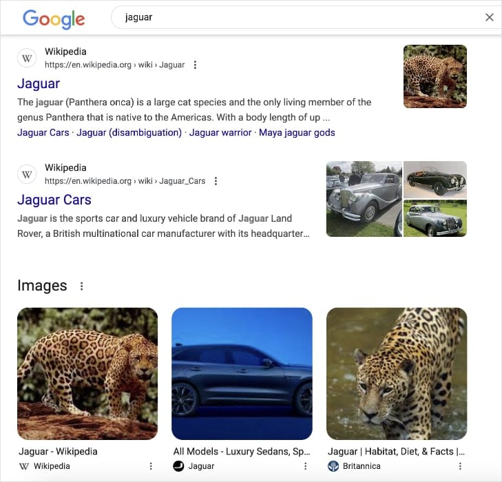 Google search results for the query jaguar shows the animal and the car.