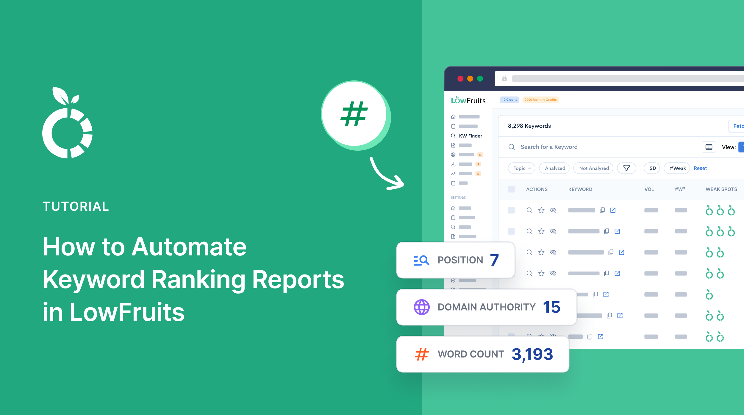 How to automate keyword ranking reports in LowFruits.