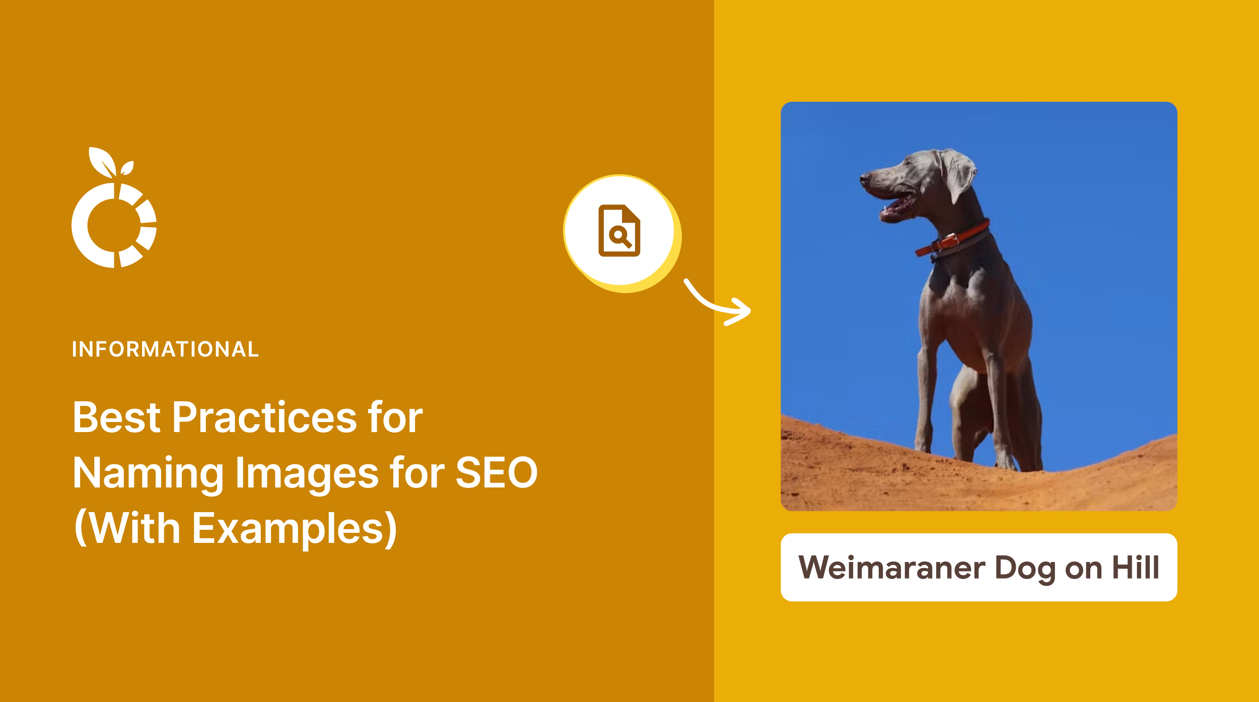 Best practices for naming images for SEO.
