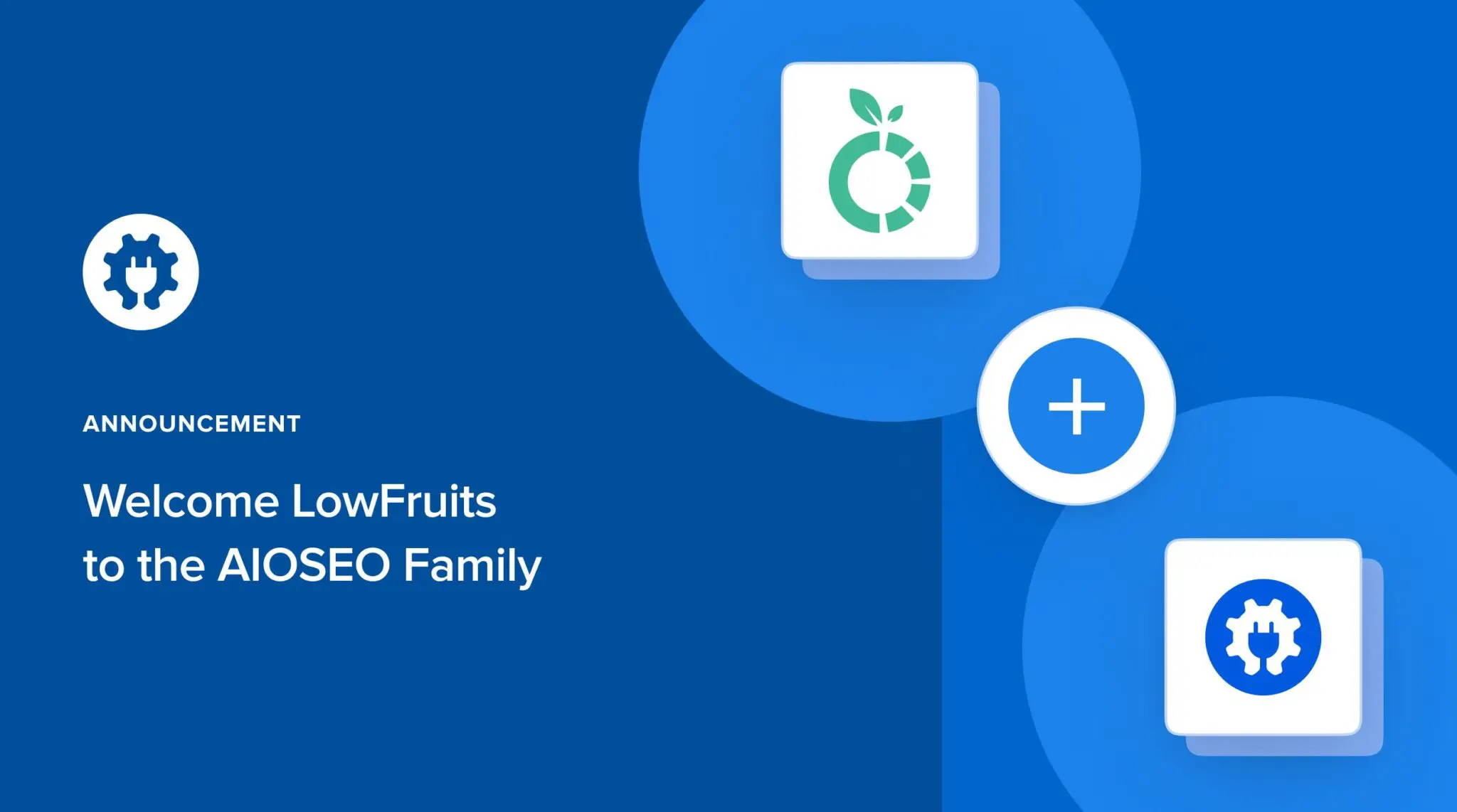 LowFruits Joins the All in One SEO Family